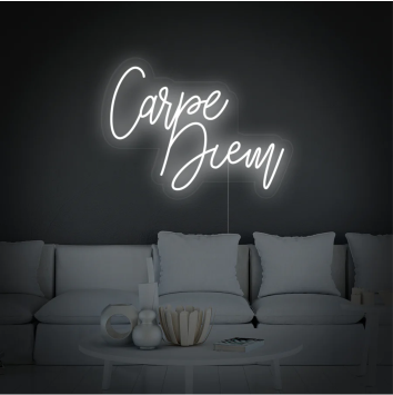 CARPE DIEM MOTIVAZIONE ARREDAMENTO COGLI L'ATTIMO DESIGN INSEGNA NEON FLEX LED LUMINOSA 220V